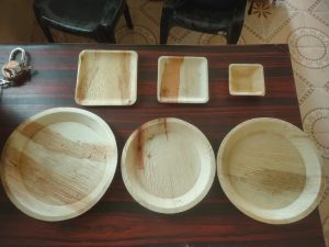 Areca Leaf Plate Making Machine - Image 4