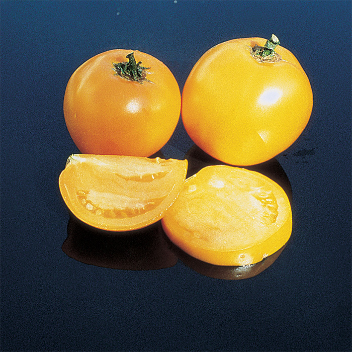 Lillians Yellow Heirloom Tomato, Heirloom Tomato Seeds Totally Tomatoes
