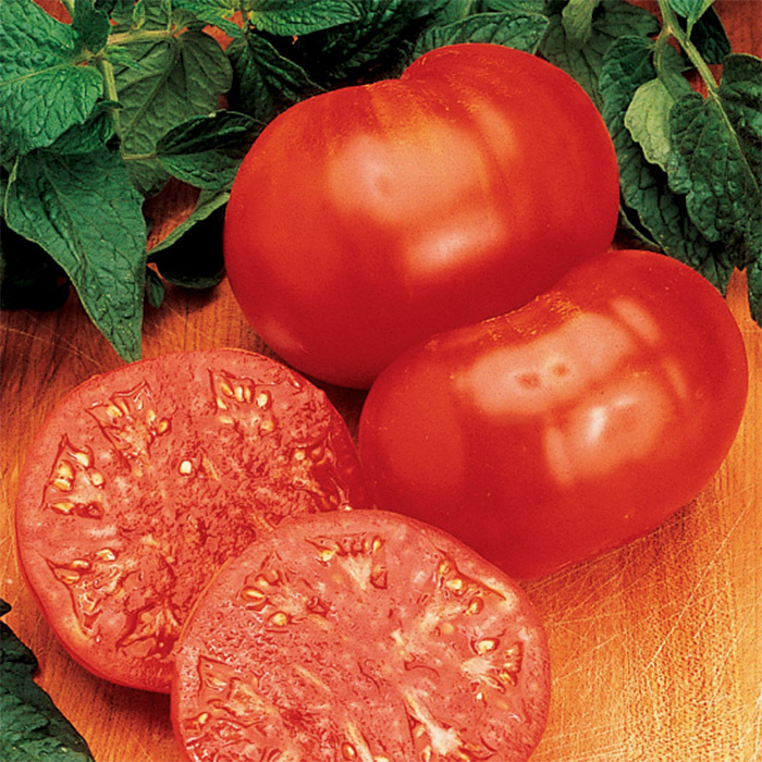 Ponderosa Red Tomato, Large Tomato Seeds Totally Tomatoes