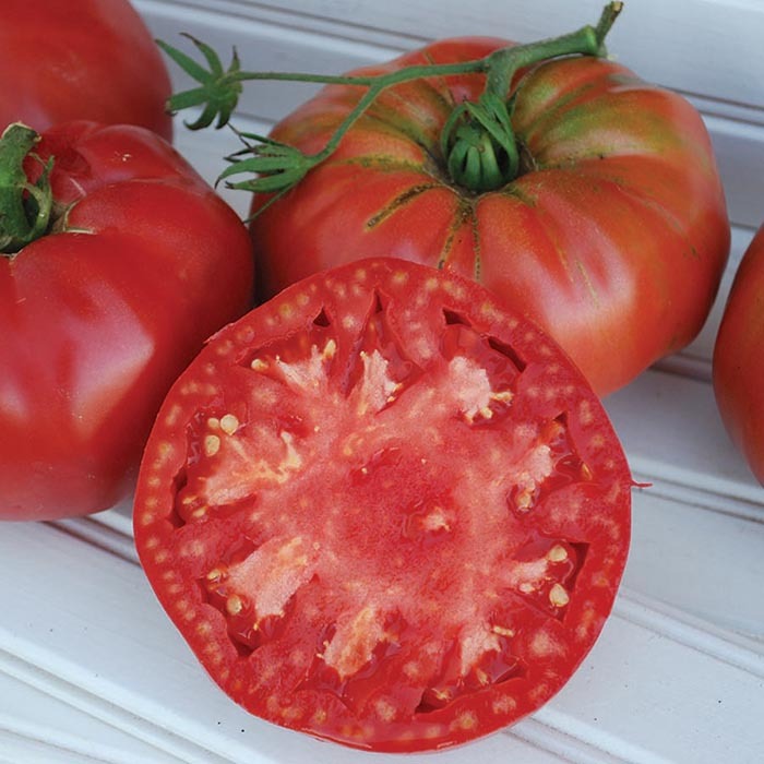 Prudens Purple Tomato, Heirloom Tomato Seeds Totally Tomatoes