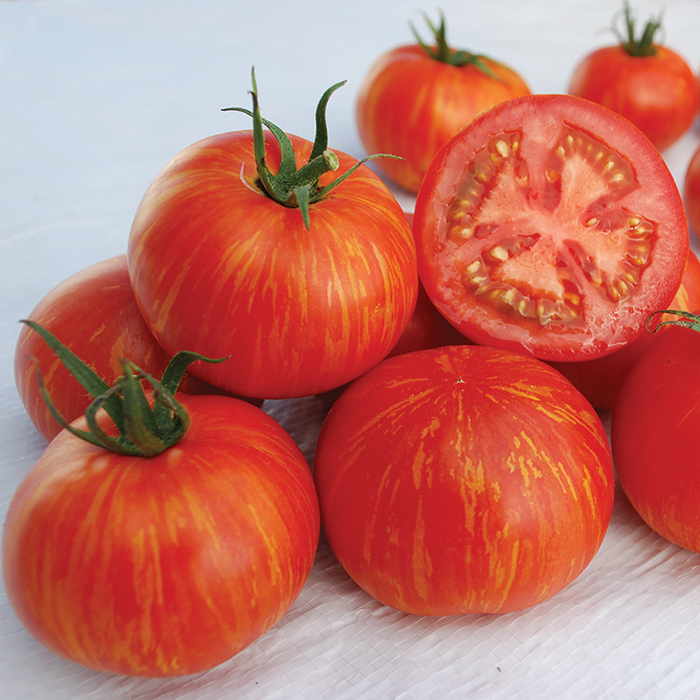 Skyreacher Tomato, MediumSmall Tomato Seeds Totally Tomatoes