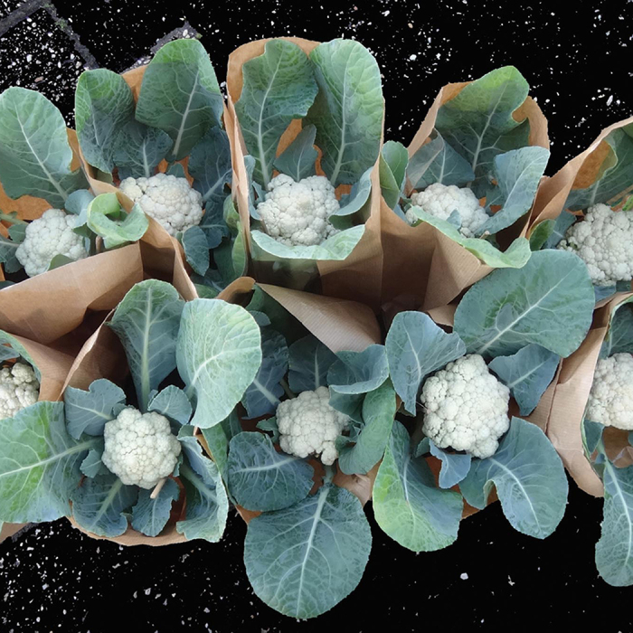 Baby Hybrid Cauliflower, Cauliflower Seeds Totally Tomatoes