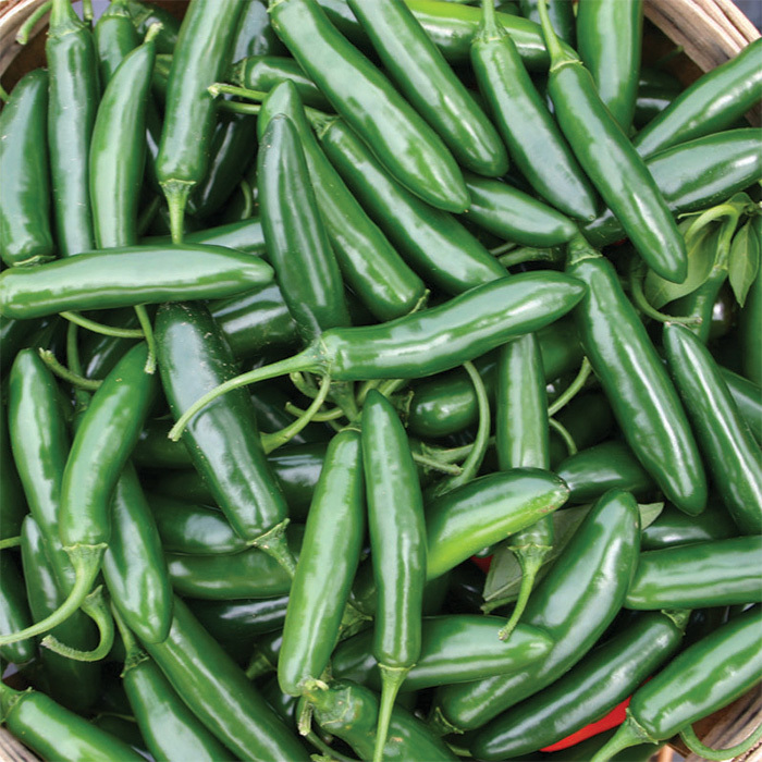 Devil Serrano Pepper, Hot Pepper Seeds Totally Tomatoes