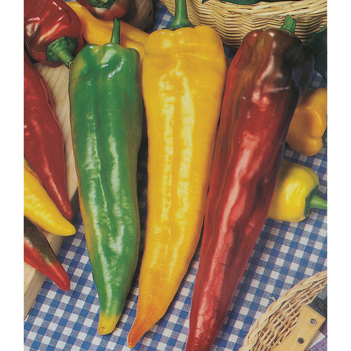 Volcano Hybrid Pepper, Hot Pepper Seeds: Totally Tomatoes