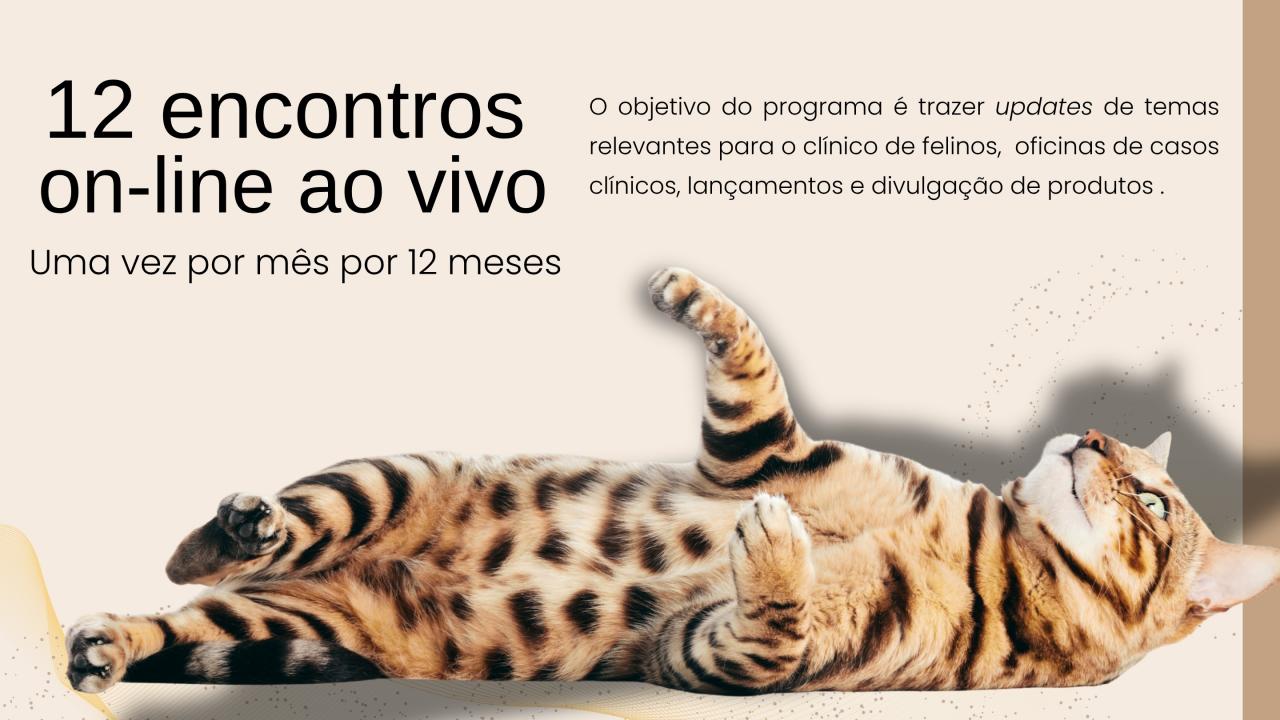 Primeira página Boehringer