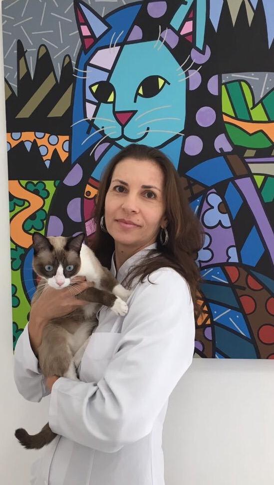 Maria Carolina Catai Chalita