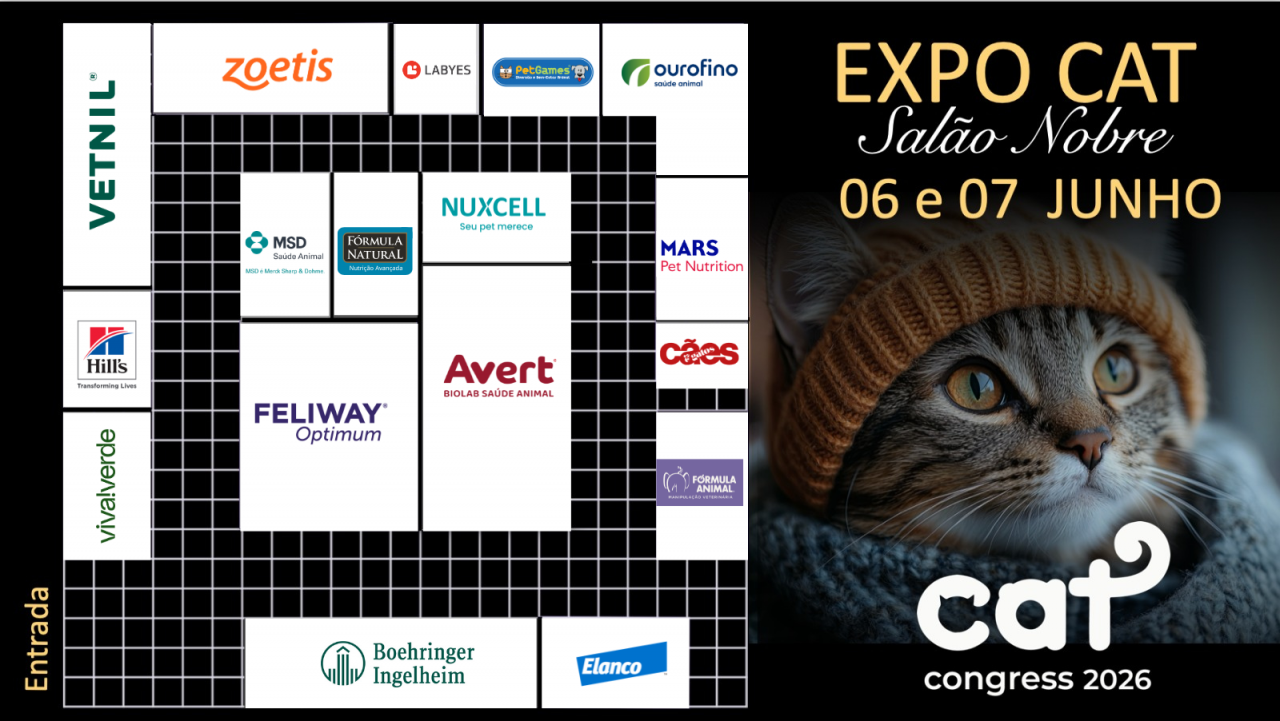 Expo 1