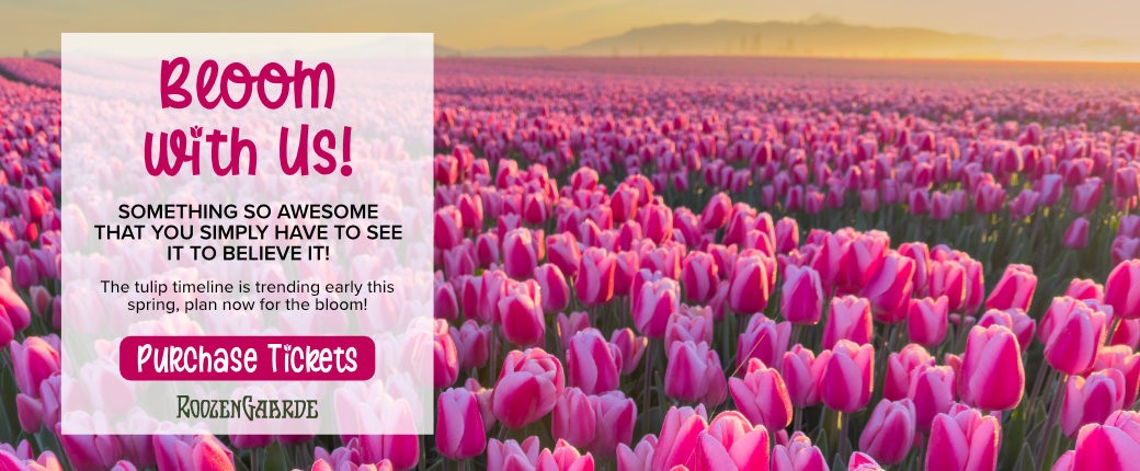 purchase Skagit Valley Tulip Festival Tickets!