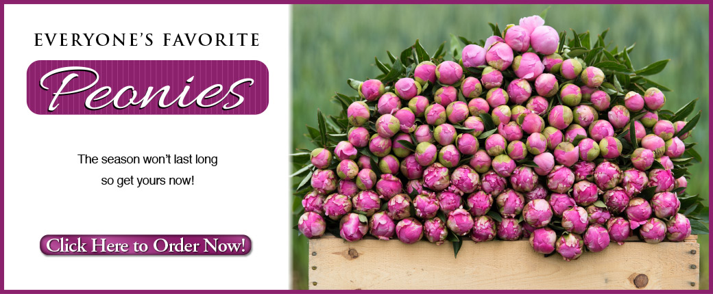 purchase fresh cut peonies!