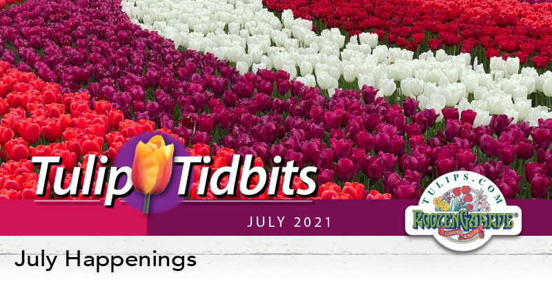 July Happenings