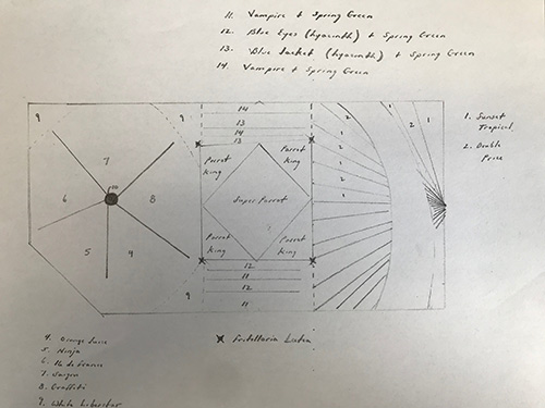 Garden plan sketch