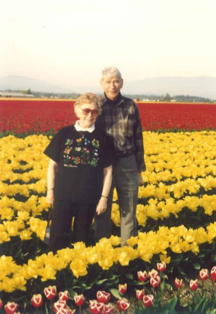 Tulip Tidbits Feature image