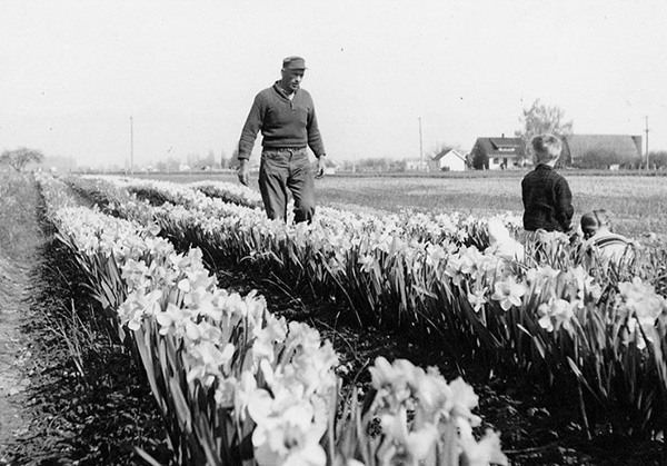 Tulip Tidbits Feature image