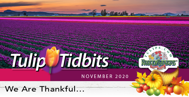 We are thankful