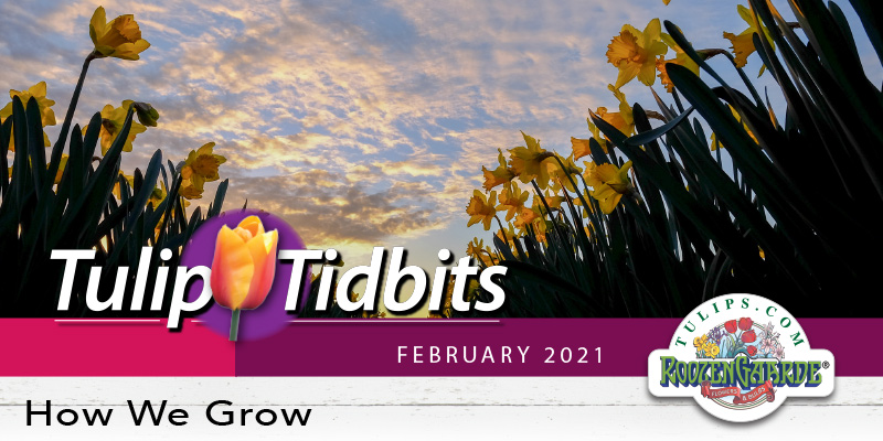 How We Grow