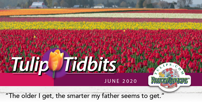 Tulips Tidbits June 2020 - 'The older I get, the smarter my father seems to get.'