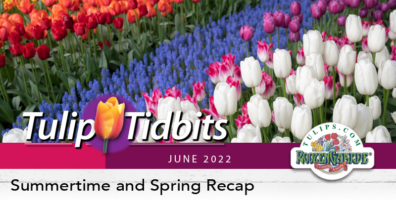 Summertime and Spring Recap