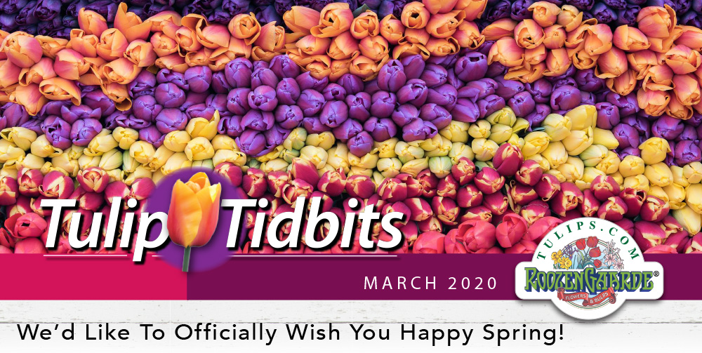 Tulips Tidbits March 2020 - We'd Like To Officially Wish You Happy Spring!