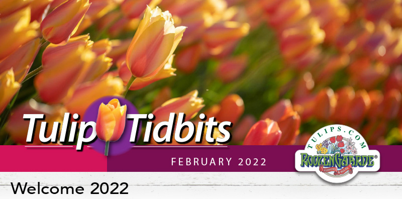 Welcome 2022