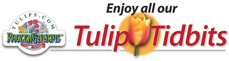 Enjoy all our Tulip Tidbits