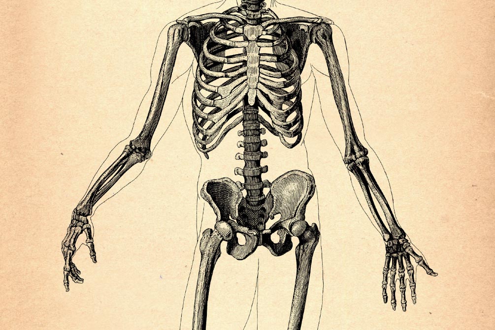 Growing Bones VIRGINIA Magazine