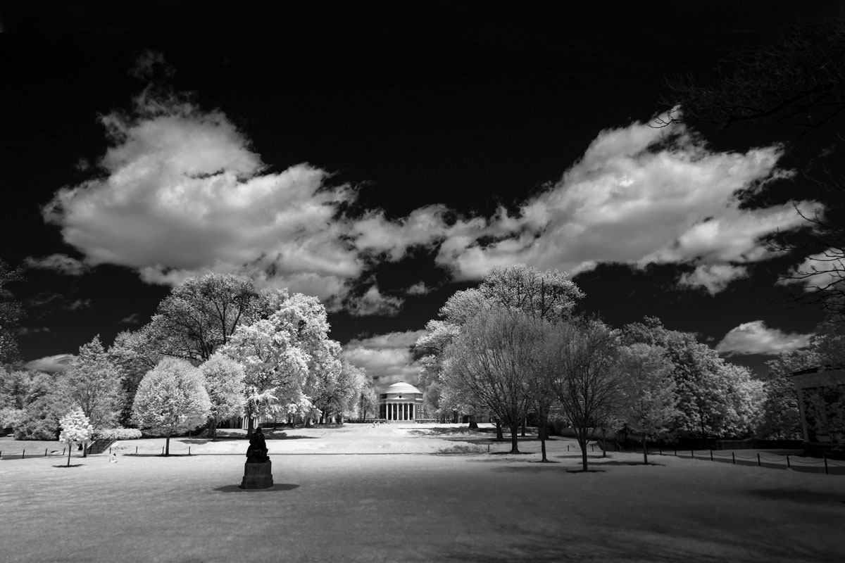 The surreal semester and what comes after—VIRGINIA Magazine