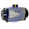 Pneumatic Actuators