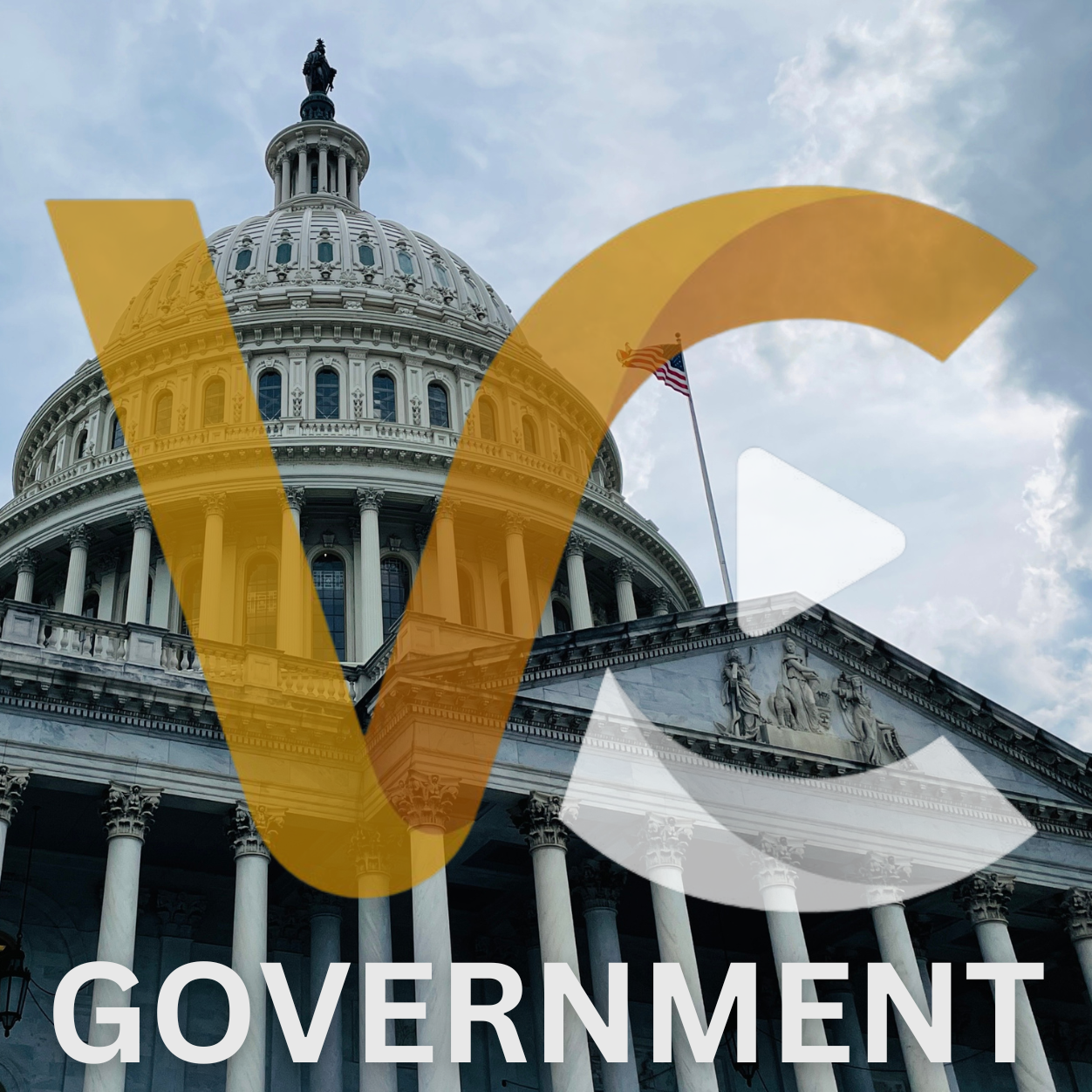 Government