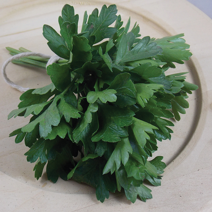 Dark Green Italian Parsley, Herb Seeds Vermont Bean Seed Company
