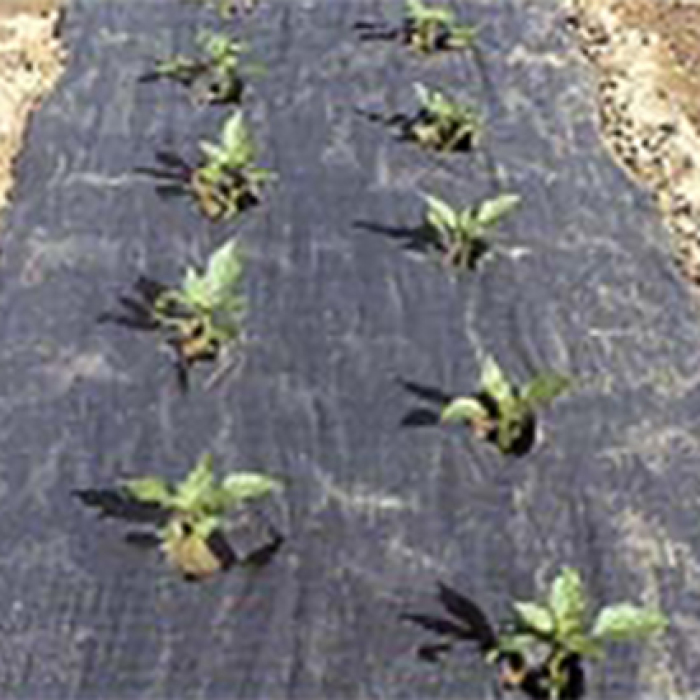 Planters Paper (4 X 100), Mulches and Row Covers Vermont Bean Seed Company