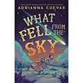 What Fell from the Sky