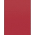 Better Than Paper&reg; - Cranberry Red