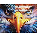 American Eagle Puzzle
