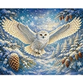 Arctic Owl Puzzle