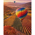 Vineyard Balloon Puzzle