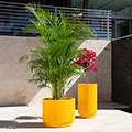 tenjam Ripple Planters