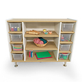 Whitney Brothers&reg; elevatED&trade; Combo Tray Storage Cabinet