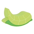 Moje Bambino&reg; Leaf Foam Seat