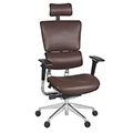 Regency Omega&reg; Executive Office Chair