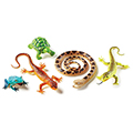 Jumbo Animals - Reptiles & Amphibians