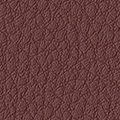 Merlot