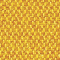 Maize
