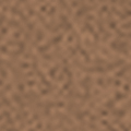 Soft Bronze