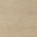Egret