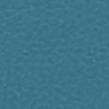 Peacock Teal