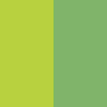 Light Green/Green