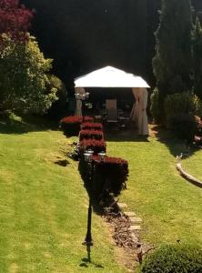 ImagenUrrezko Ametsa 5