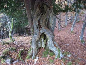 ImagenCasa Rural Valle Tosande 5
