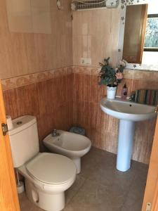 ImagenUna nueva luz 6