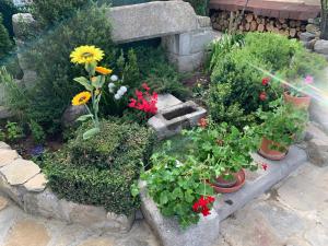 ImagenCASA Rural LAGUARTA - Restaurante 6